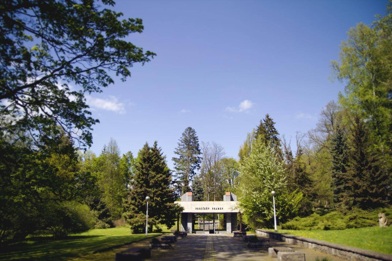 Spa Hotel Garni Loewenstein Konstantinovy Lazne Exterior photo