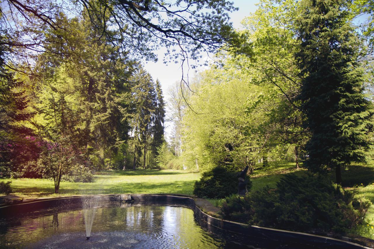 Spa Hotel Garni Loewenstein Konstantinovy Lazne Exterior photo